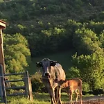 Bed & Breakfast De La Bastide - Cabania Pays Cathare *