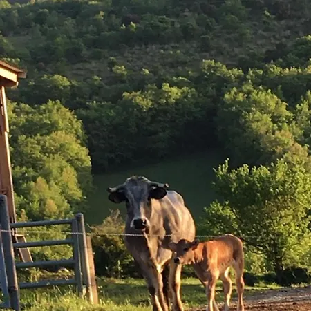 ベッド・アンド・ブレックファスト De La Bastide - Cabania Pays Cathare *