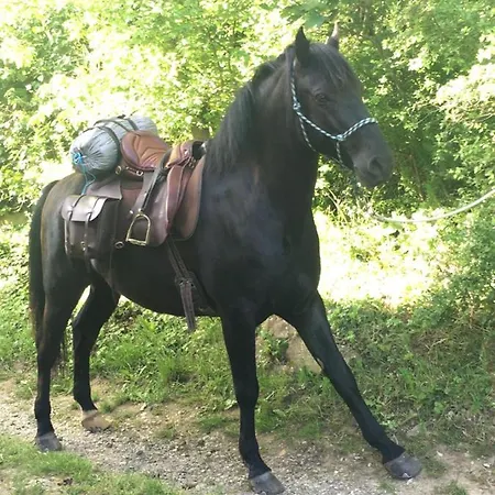 De La Bastide - Cabania Pays Cathare ベッド・アンド・ブレックファスト Camps-sur-l'Agly