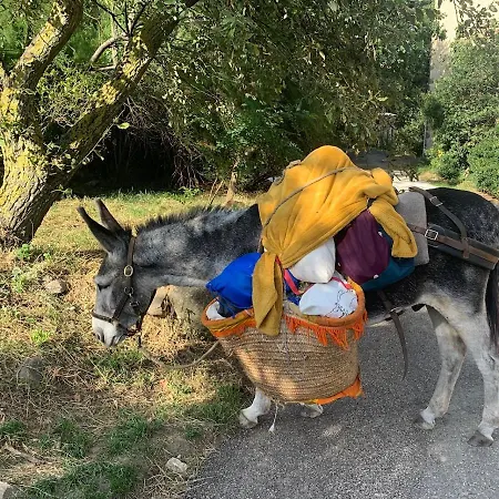 ベッド・アンド・ブレックファスト De La Bastide - Cabania Pays Cathare